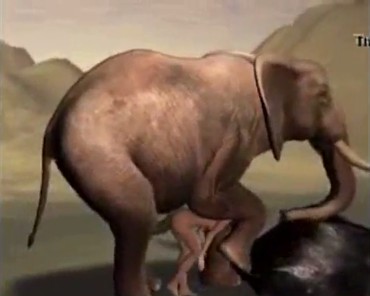 แนวโป๊สัตว์ หนังโป๊การ์ตูน หนังXการตูน ช้างเย็ดคน ควยช้างไทย